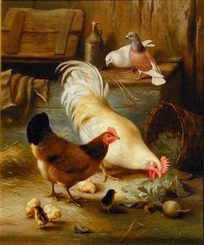 unknow artist Cocks 105 oil painting image